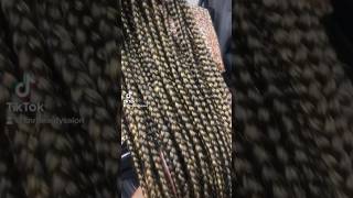 Tribal Braids Loading… hairhairstylestribalbraidsbraidgangcnrbeautysaloncamillerhonehaircare [upl. by Glantz595]