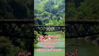 nawalapitiya bridges [upl. by Ennayram528]