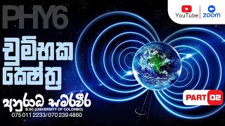 චුම්භක ක්ෂේත්‍ර  Part 02 Anuradha Samaraweera Phy6 [upl. by Raddatz]