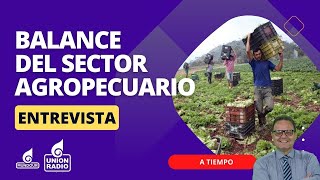 Balance del sector agropecuario en el primer semestre de 2024  A Tiempo [upl. by Htirehc]