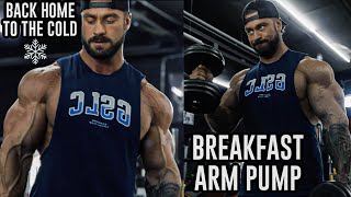 BACK amp BICEPS PUMP  CANADA TRAVEL VLOG PART 1 [upl. by Dahsraf997]