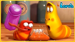 Larva Full Episode  1 Hour Compilation 🍟 Cartoons  Comedy  Comics 🥟 New Animation Movies 2022 [upl. by Andie]