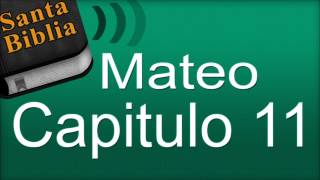 Mateo Capitulo 11  Biblia Hablada [upl. by Hatcher]