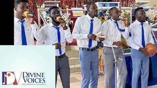 NON STOP 3O MINUTES OF GOOD GHANA SDA QUARTET MUSIC BY THE DIVINE VOICES [upl. by Ymij922]