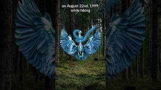 The Lodi Blue Thing  Bicycle Bird Bigfoot  Weird Encounters paranormal funfacts scary [upl. by Callery919]