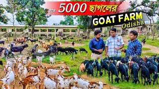 ऐसी शानदार करोड़ों की बकरी फैक्ट्री देखकर मज़ा ना आए तो कहना  Goat Farming  Successful Goat Farmer [upl. by Sivart]