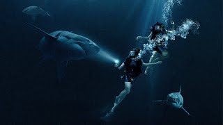 47 Meters Down 2017  Official Trailer  Trailer DB [upl. by Tarabar]