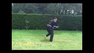 Penchak Silat de lAcadémie Franck Ropers avec Eddy Blanchez professeur AFR [upl. by Hayley158]