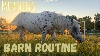 My Equestrian Morning Routine [upl. by Nodnar]