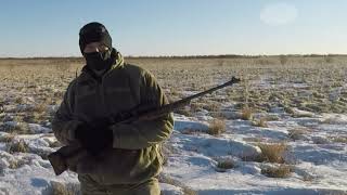 Crookstown Minnesota coyote hunt [upl. by Xuerd]