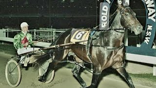 Classic Down Under Racing 1980 Interdominion Pacing Final 2700M Harold Park Australia Koala King [upl. by Baumann]