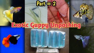 Exotic Guppy Fish Unpacking ❤️‍🔥 [upl. by Metcalf]