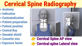 Cervical Spine Radiography  AP amp Lateral Projection  Patient position  In hindi  By BL Kumawat [upl. by Adlare]