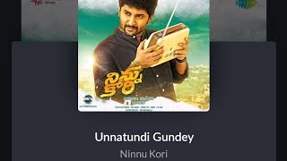 Attempt of Unnattundi Gundey song from Ninnu Kori movie [upl. by Laamak]