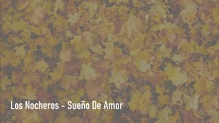 LOS NOCHEROS  SUEÑO DE AMOR  LETRA [upl. by Schroeder]