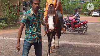 horse riding School for the blind Aluva [upl. by Sly129]