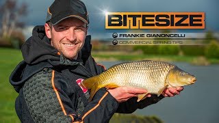 Catch More Carp On Commercial Fisheries  Guru Bitesize 010 [upl. by Giorgia]