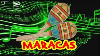 MARACAS Musical Instrument Sounds Preschool Kindergarten [upl. by Yleak]