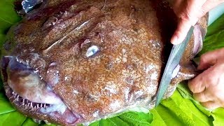 Japanese Street Food  Massive MONKFISH Seafood Japan [upl. by Madda]