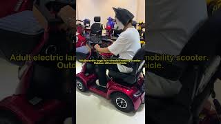 4 Wheel Electric Mobility Scooter [upl. by Barbara596]