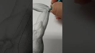 Dibujo de anatomía music art drawing artist painting anatomy handmade anime [upl. by Rachele]