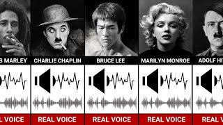 Real Voice of Historical Figures [upl. by Johppah]