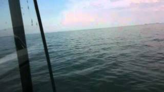 Nice Day On Lake Erie  2005 Bayliner 242EC [upl. by Onibag]