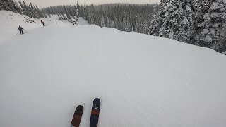 Revelstoke Cat Track Compilation [upl. by Abra393]