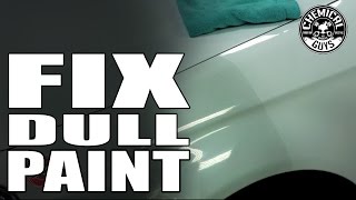 How To Make Dull White Paint Shine  Chemical Guys VSS Polish [upl. by Paton160]