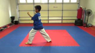 Taekwondo Poomsae 1  8 and Black Belt 1st  9th dan Hollywood Martial Arts Studio Fresno James Chua [upl. by Wahlstrom966]