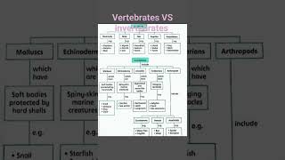 Vertebrates VS Invertebrates biology science vertebrates [upl. by Koenig15]