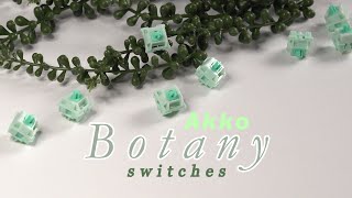 AKKO Botany Switches  Review Sound Test Lots Of Comparison [upl. by Boleslaw]