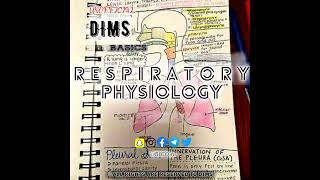 06 Respiratory Physiology [upl. by Alcock594]