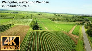 Weingüter Winzer und Weinbau in Kirchheim an der Weinstraße  Landkreis Bad Dürkheim  Dji Drone [upl. by Llenoil]