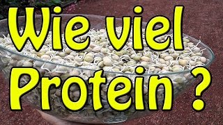 Wie viel Protein als Veganer Bodybuilder [upl. by Lemaj187]