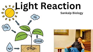 light reaction  Chemiosmotic theory Dr Mascharak Neet [upl. by Peregrine852]