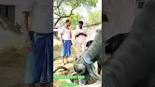 sonu Malang  short video funny video comedy short reall funnycomedy कॉमेडी चाचा कौन भैंसिया [upl. by Ballou]