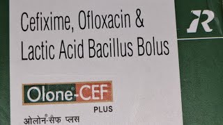 OloneCEF PLUS Bolus Cefixime Ofloxacin amp Lactic Acid Bacillus Bolus Veterinary bolus [upl. by Rape]