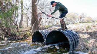 BOWFISHING a Small Creek LOADED With Fish [upl. by Denbrook]