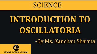 Oscillatoria  by Ms Kanchan Sharma [upl. by Magdalen521]