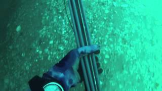 Spearfishing Charleston South Carolina Grouper [upl. by Perice729]