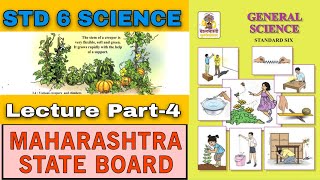 Class 6th Science Chapter 3 Diversity in living things and their Classification Part 4 मराठी [upl. by Gnay]