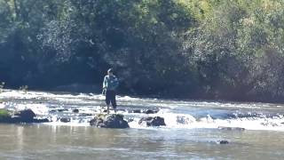 PESCANDO NA CACHOEIRA [upl. by Namielus]