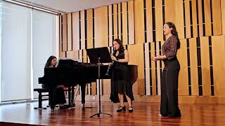 Maria Miguel Pires  F Schubert quotRomanzequot Clarinete e Piano [upl. by Doolittle]