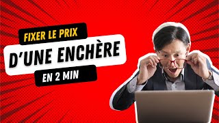 Comment DÉTERMINER son ENCHÈRE pour faire une BONNE AFFAIRE aux enchères immobilières [upl. by Burroughs]