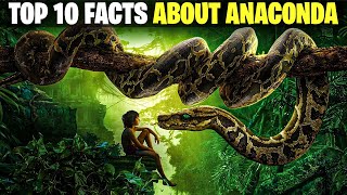 Top 10 Facts About Anaconda [upl. by Anabal363]