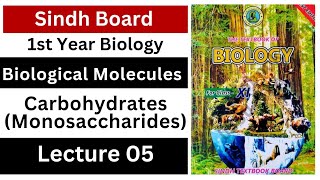 carbohydrates introduction  monosaccharides  class 11 biology Sindh board new book [upl. by Laine]