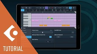 MIDI Editor Improvements in Cubasis 21  New Features in Cubasis 2 [upl. by Hagile149]