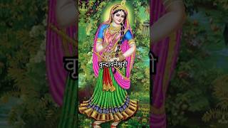 Shree radhe radhe barsane wali radhe  radharanishorts radheradhe [upl. by Leahicm]