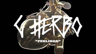 G Herbo  Feelings Official Lyric Video [upl. by Berta344]